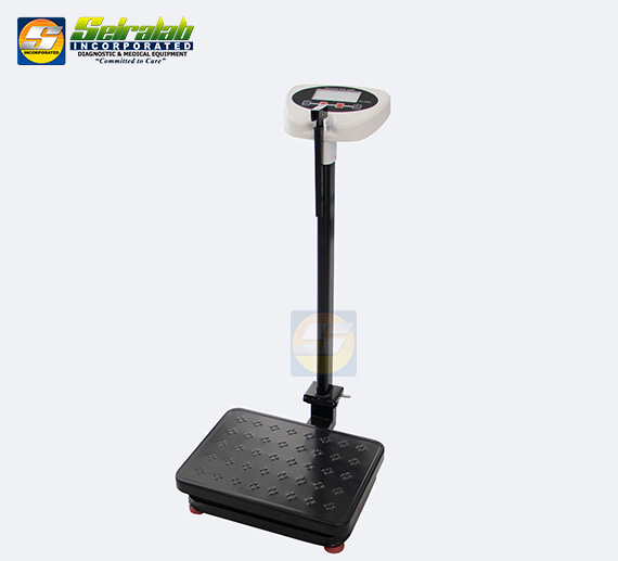 Electronic Body Scale